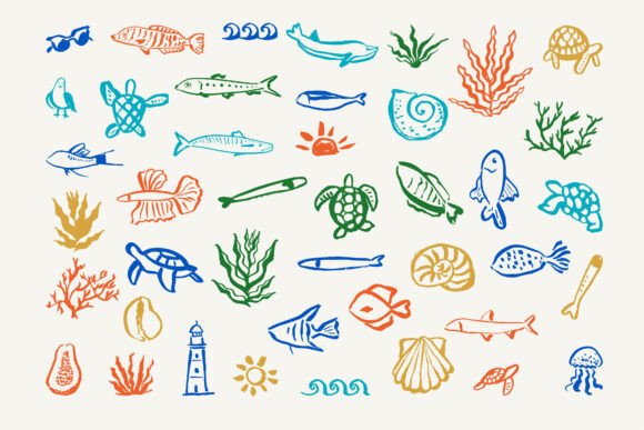 Coastal Whimsical: A Splash of Playful Color for Creative Projects
