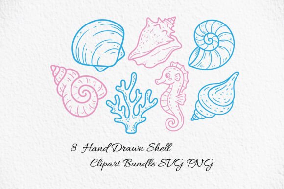 Hand Drawn Shell Clipart SVG/PNG for Coastal Designs