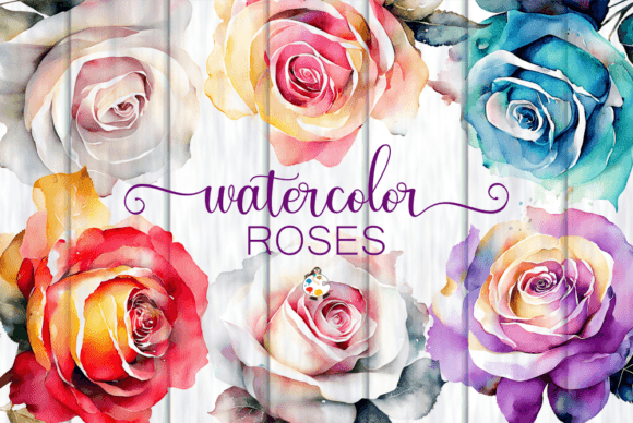 Watercolor Roses - Transparent Clipart for Designers